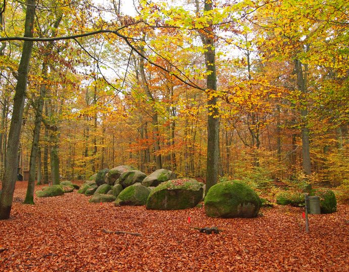 Die Großen Sloopsteene bei Lotte-Wersen. Bild: Altertumskommission/K. Schierhold.
