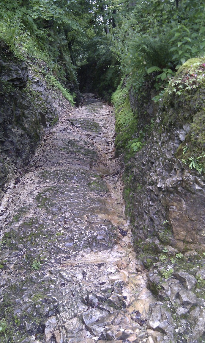 Bei Horn-Bad Meinberg wurden Geleisespuren für einen frühneuzeitlichen Weg aufwendig in den Fels eingearbeitet.
