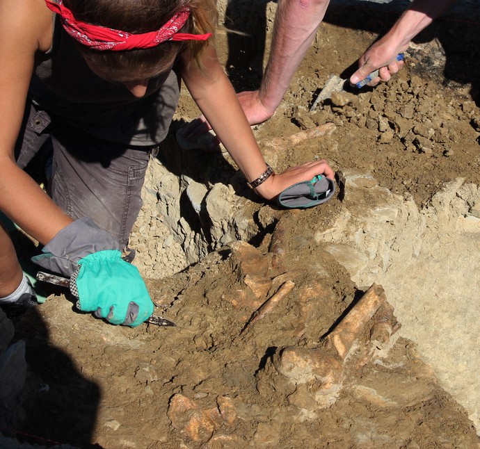 Knochenfunde bei der Ausgrabung am Grab Büren-Wewelsburg II 2018. Bild: Altertumskommission/L. Klinke
